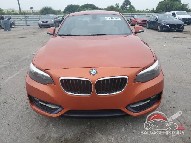 WBA1F5C5XGV344047 2016 BMW 2 SERIES photo no. 5