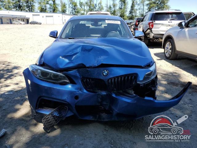 WBA1G9C58GV599400 2016 BMW 2 SERIES photo no. 5