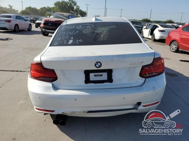 WBA2J1C07L7F00188 2020 BMW 2 SERIES photo no. 6