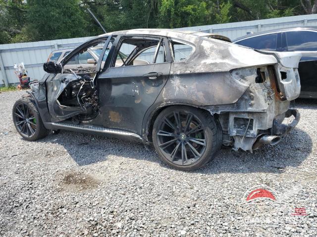 5UXFG2C58E0K41660 2014 BMW X6 photo no. 2