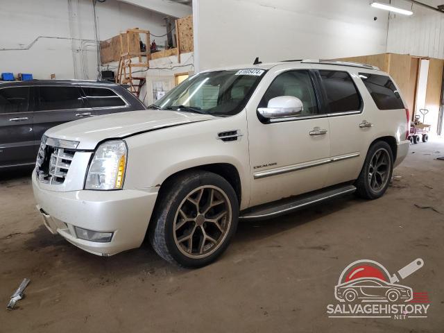 1GYUKBEF9AR211709 2010 CADILLAC ESCALADE photo no. 2
