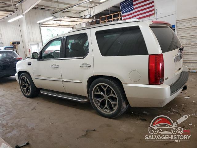 1GYUKBEF9AR211709 2010 CADILLAC ESCALADE photo no. 2
