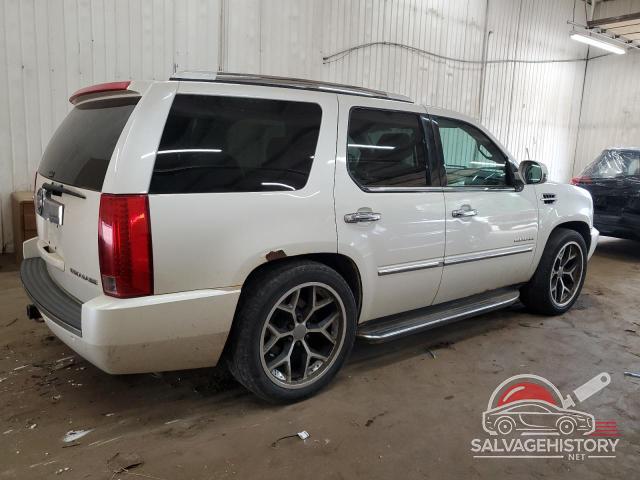 1GYUKBEF9AR211709 2010 CADILLAC ESCALADE photo no. 3