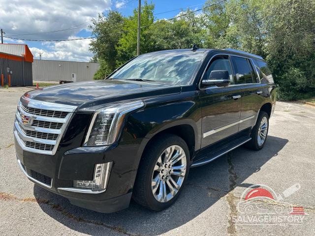 1GYS3CKJ8KR257794 2019 CADILLAC ESCALADE photo no. 2