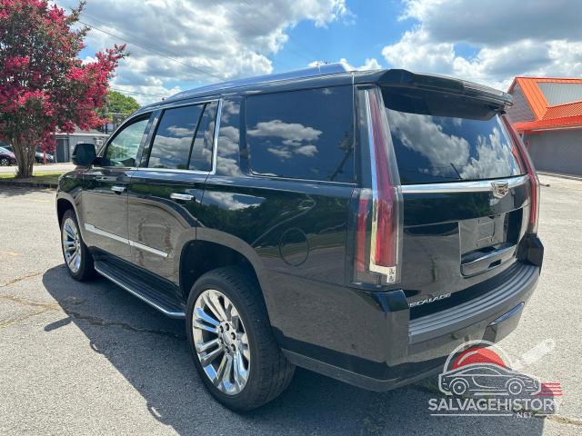 1GYS3CKJ8KR257794 2019 CADILLAC ESCALADE photo no. 3