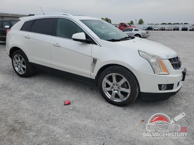 3GYFNKE49AS595518 2010 CADILLAC SRX photo no. 4