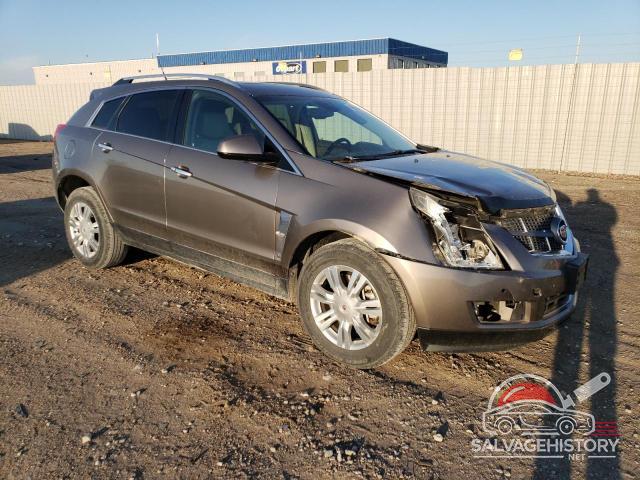 3GYFNDE38CS511307 2012 CADILLAC SRX photo no. 4