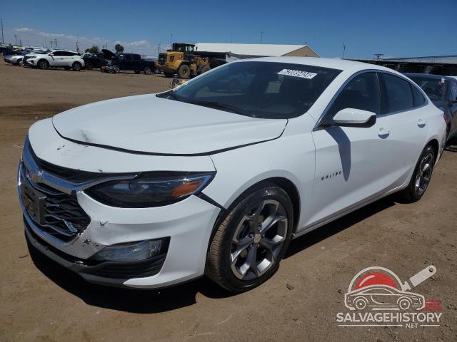 1G1ZD5ST0RF207944 2024 CHEVROLET MALIBU photo no. 19