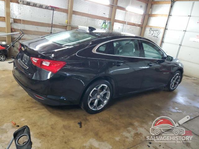 1G1ZD5ST2RF142725 2024 CHEVROLET MALIBU photo no. 3