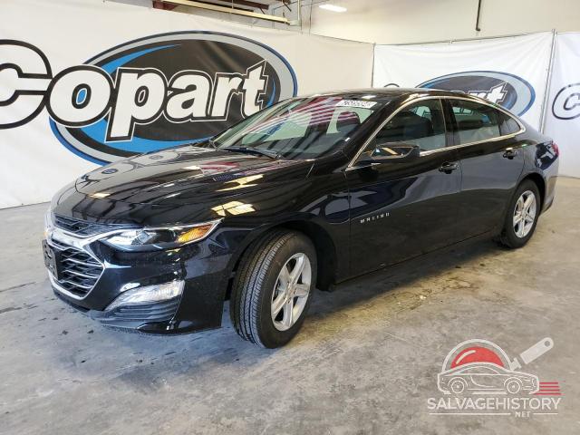 1G1ZD5ST3RF208635 2024 CHEVROLET MALIBU photo no. 17