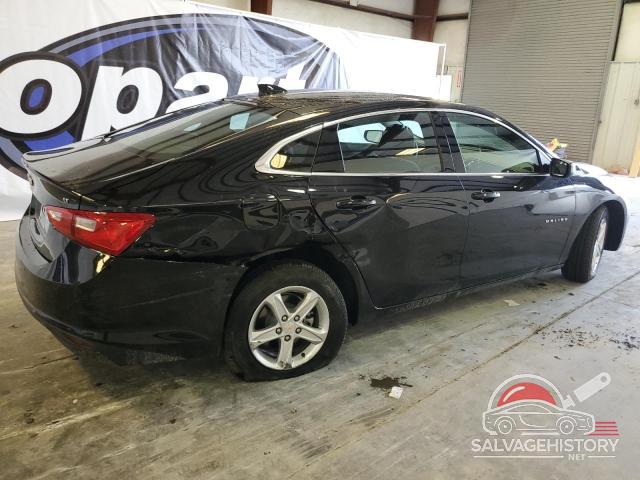 1G1ZD5ST3RF208635 2024 CHEVROLET MALIBU photo no. 3