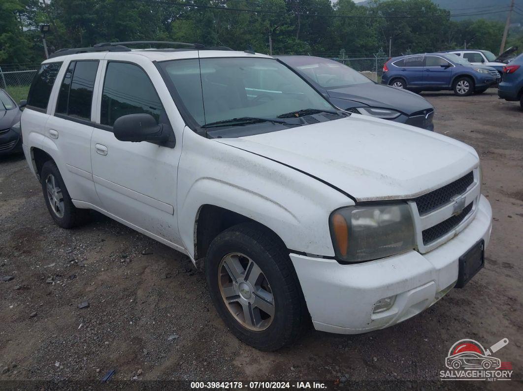 1GNDT13S182158298 2008 CHEVROLET TRAILBLAZER photo no. 6