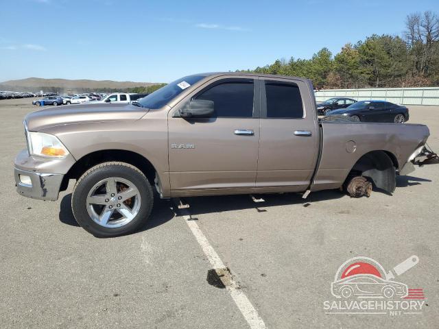 1D3HV18P69S804629 2009 DODGE All Models photo no. 1