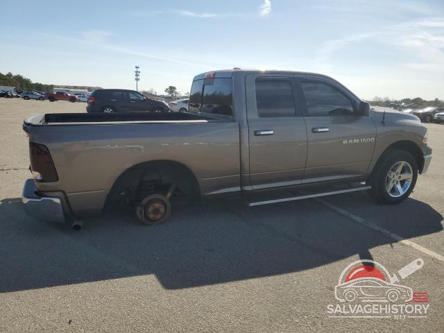 1D3HV18P69S804629 2009 DODGE All Models photo no. 3