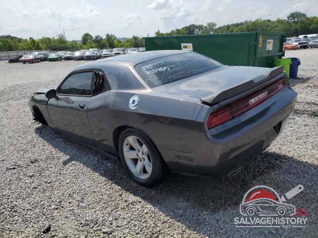 2C3CDYAG9EH126960 2014 DODGE CHALLENGER photo no. 2