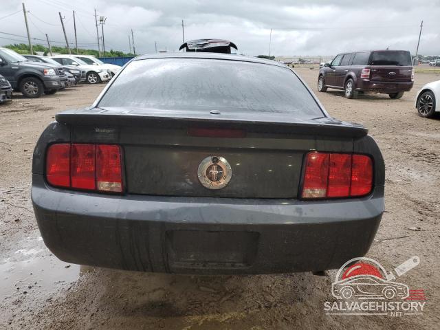 1ZVFT80N675361917 2007 FORD ALL Models photo no. 6
