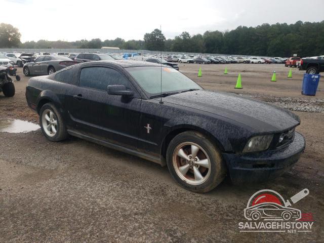 1ZVHT80N875267515 2007 FORD ALL Models photo no. 4