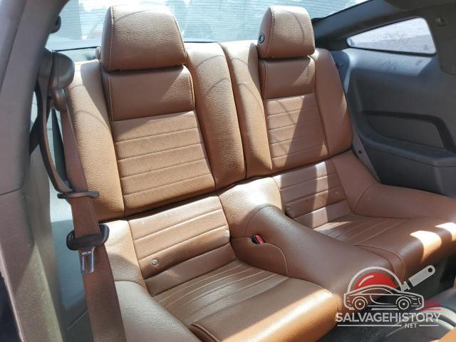 1ZVBP8AM7B5133961 2011 FORD ALL Models photo no. 10