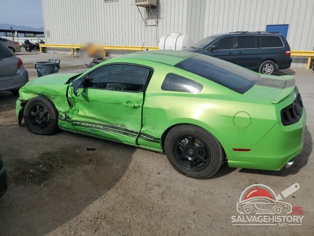 1ZVBP8AM4D5259682 2013 FORD ALL Models photo no. 2