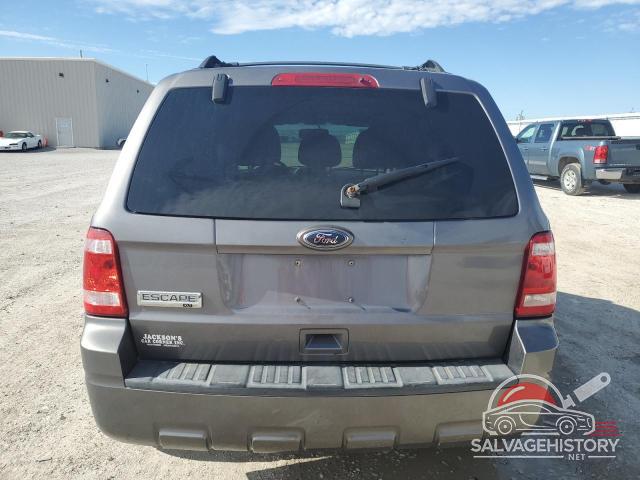 1FMCU0D76AKD45804 2010 FORD ESCAPE photo no. 6