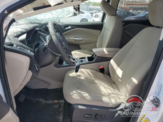 1FMCU0GD1KUA11493 2019 FORD ESCAPE photo no. 7