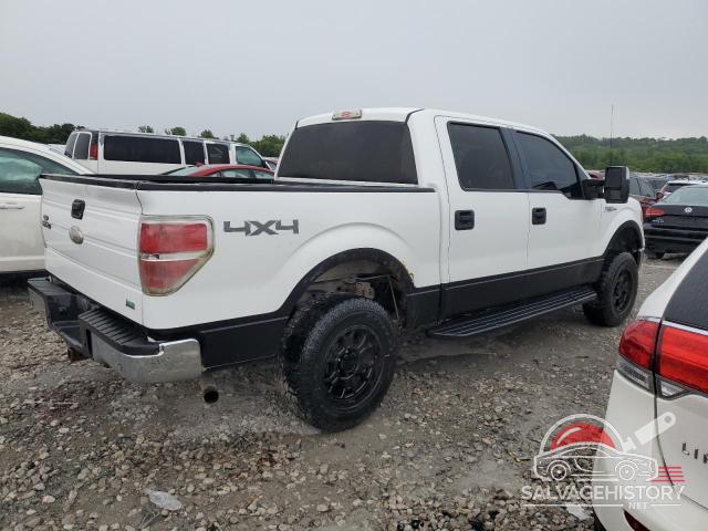 1FTFW1EV3AKB60544 2010 FORD F-150 photo no. 3