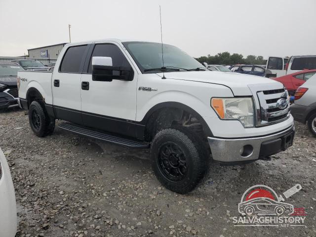 1FTFW1EV3AKB60544 2010 FORD F-150 photo no. 4