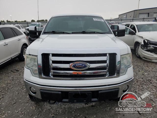 1FTFW1EV3AKB60544 2010 FORD F-150 photo no. 5
