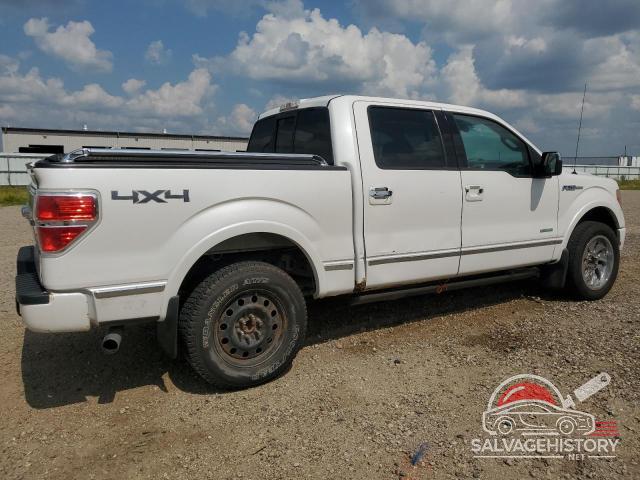 1FTFW1ET1CFC78019 2012 FORD F-150 photo no. 3