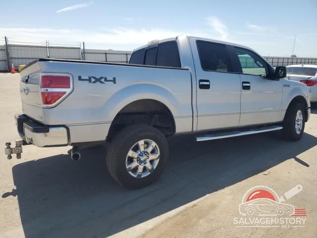 1FTFW1EF3DKE24018 2013 FORD F-150 photo no. 3