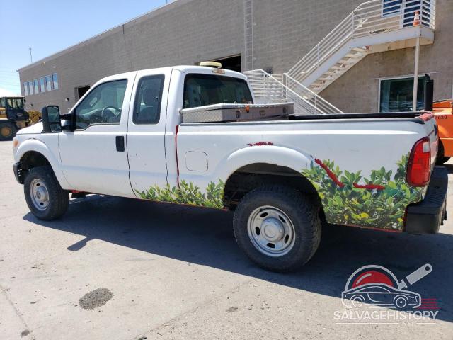 1FT7X2B67DEB14609 2013 FORD F250 photo no. 2