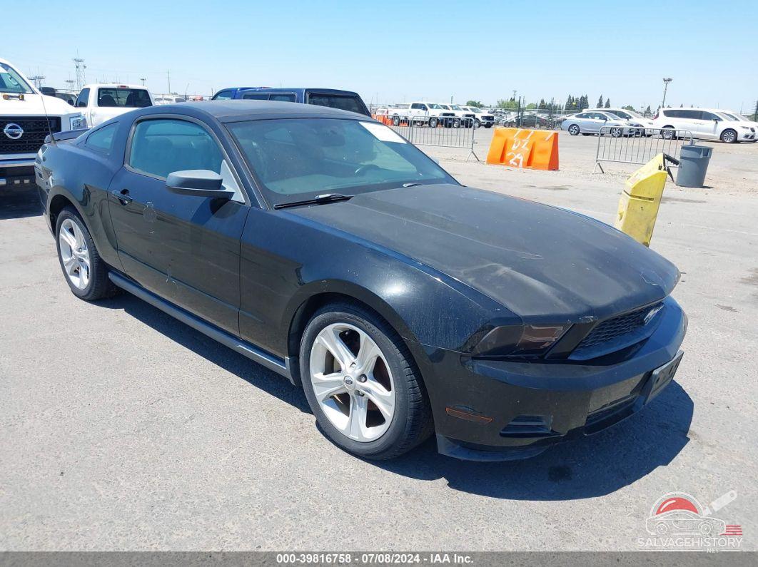 1ZVBP8AN5A5136011 2010 FORD MUSTANG photo no. 14