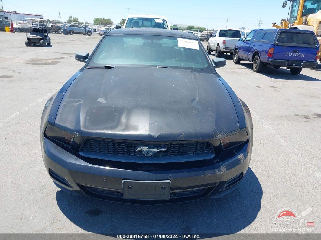 1ZVBP8AN5A5136011 2010 FORD MUSTANG photo no. 6