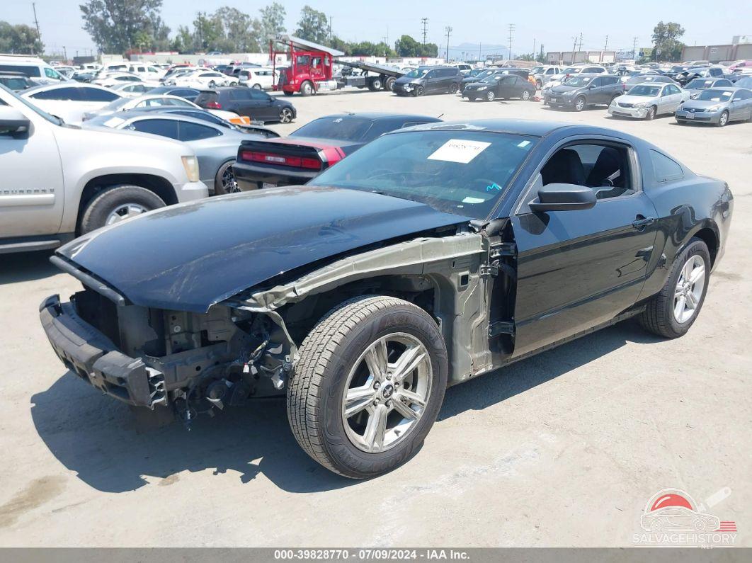 1ZVBP8AM1E5327549 2014 FORD MUSTANG photo no. 2