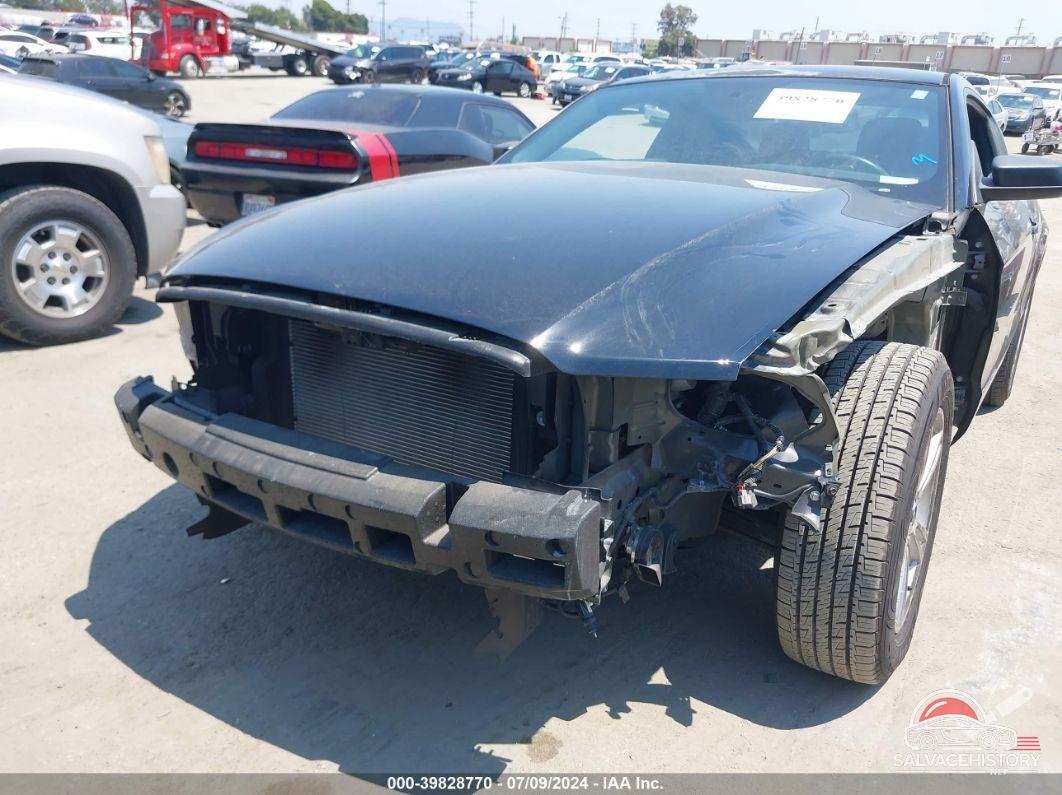 1ZVBP8AM1E5327549 2014 FORD MUSTANG photo no. 6