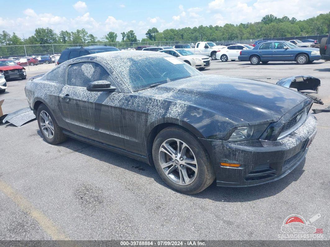 1ZVBP8AM7E5234311 2014 FORD MUSTANG photo no. 9
