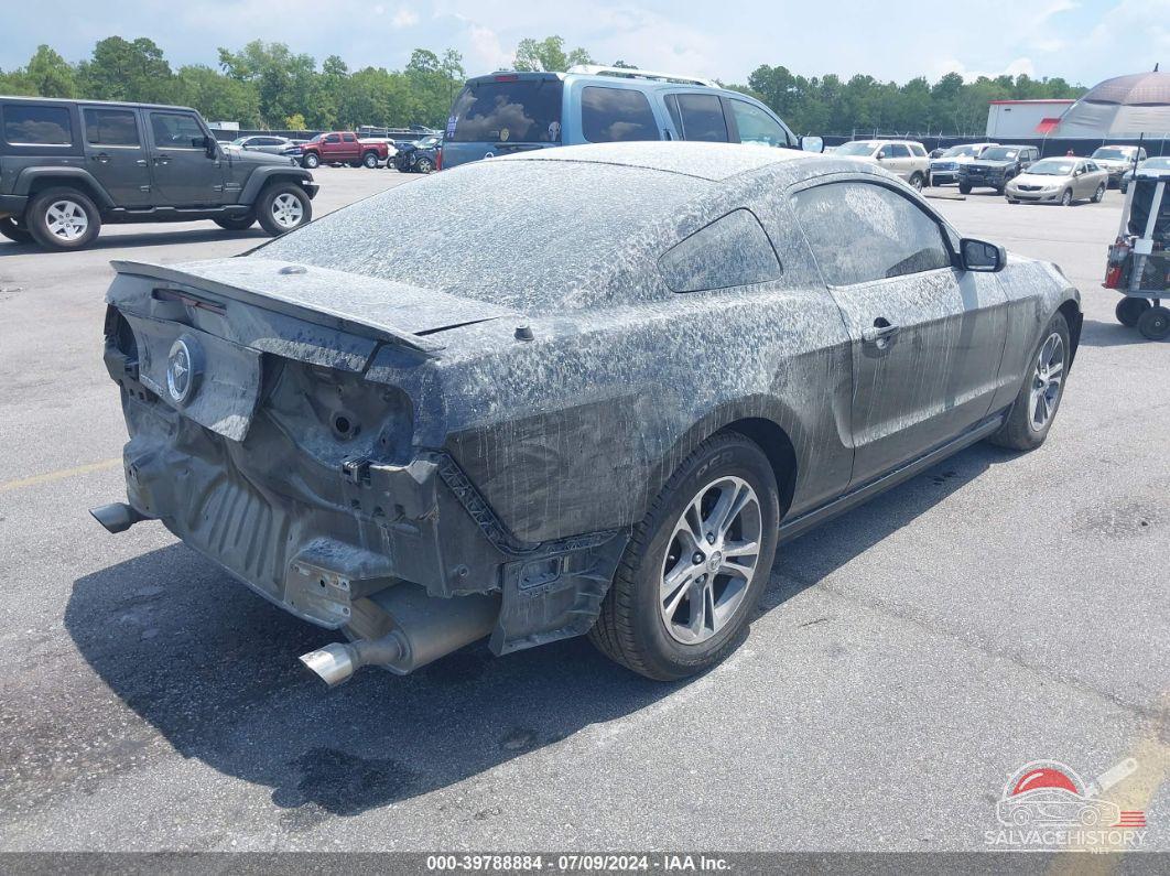 1ZVBP8AM7E5234311 2014 FORD MUSTANG photo no. 4