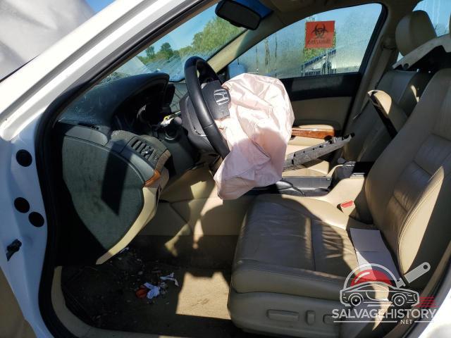 5KBCP3F80BB003719 2011 HONDA ACCORD photo no. 7