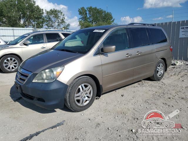 5FNRL38677B444934 2007 HONDA All Models photo no. 7