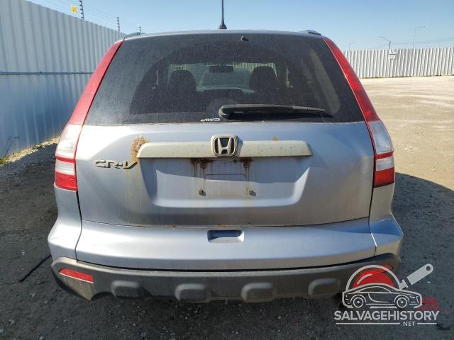 5J6RE48557L816642 2007 HONDA CRV photo no. 6