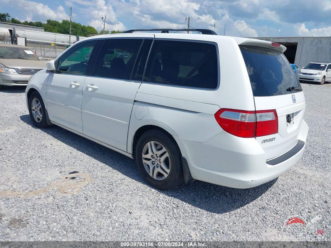 5FNRL38747B402696 2007 HONDA ODYSSEY photo no. 3