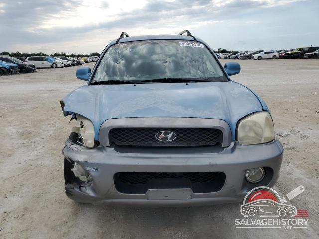 KM8SC13E63U549367 2003 HYUNDAI SANTA FE photo no. 5