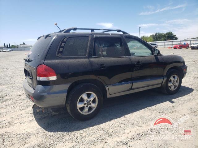 KM8SC13D25U928196 2005 HYUNDAI SANTA FE photo no. 3