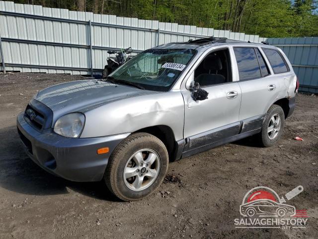 KM8SC73D85U996585 2005 HYUNDAI SANTA FE photo no. 24
