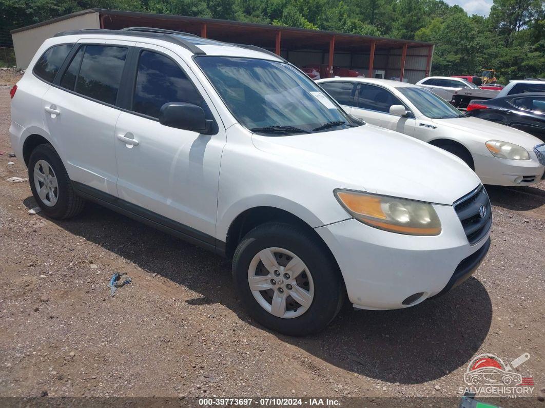5NMSG13D59H317469 2009 HYUNDAI SANTA FE photo no. 19