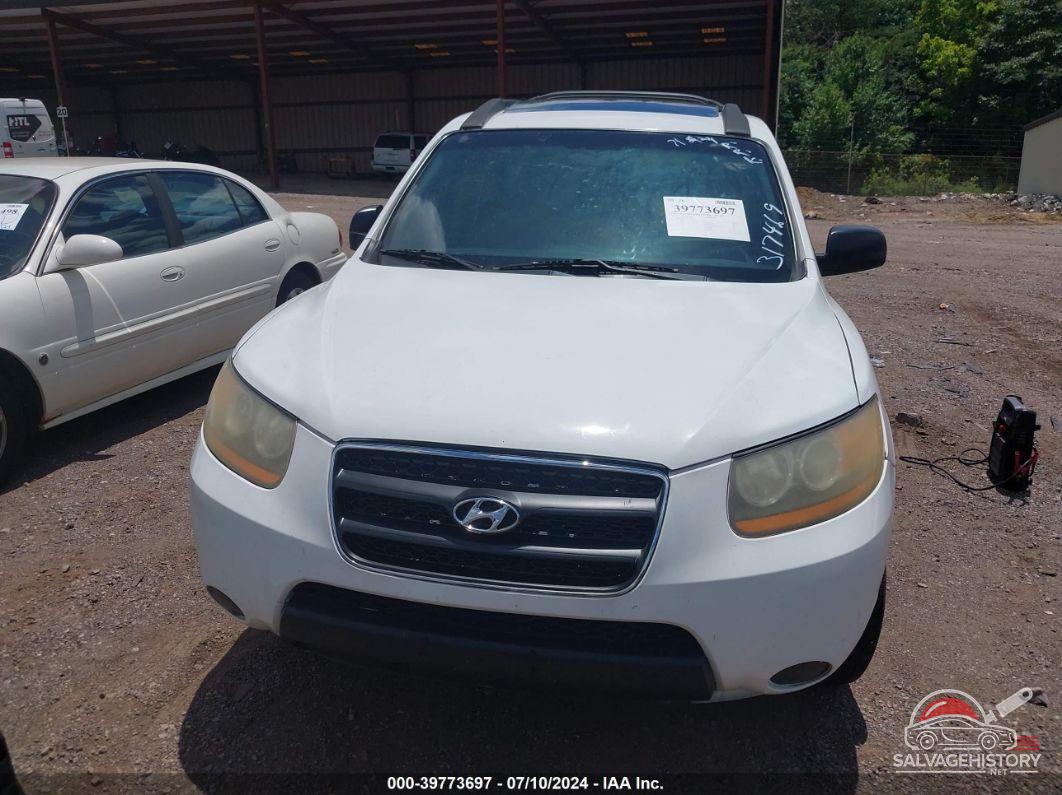 5NMSG13D59H317469 2009 HYUNDAI SANTA FE photo no. 6