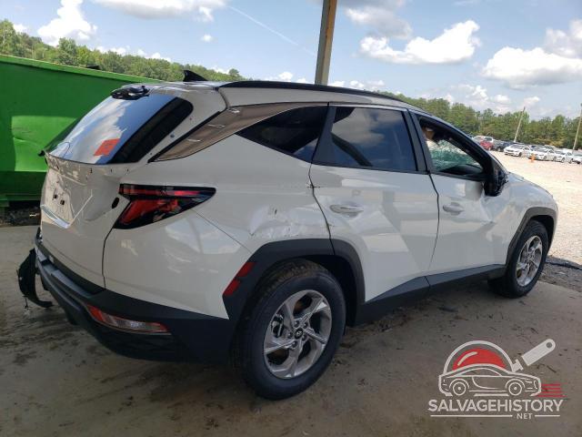 5NMJB3DE6RH396325 2024 HYUNDAI TUCSON photo no. 3