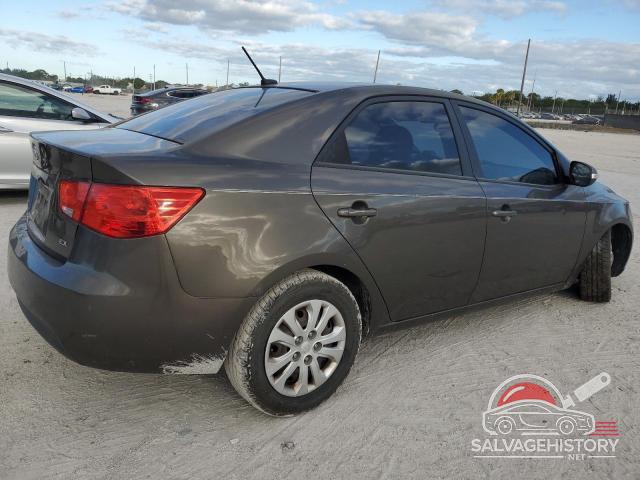 KNAFU4A20A5850976 2010 KIA FORTE photo no. 3