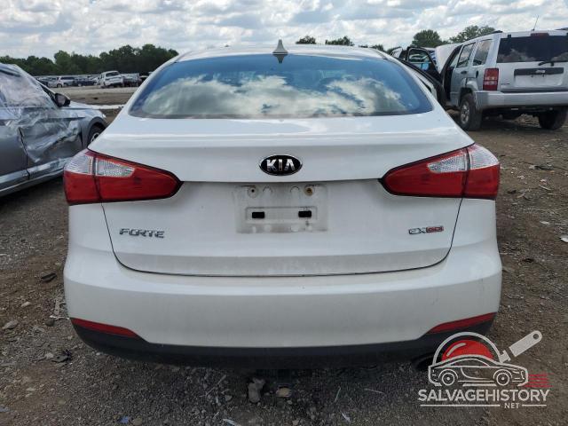 KNAFX4A81F5291716 2015 KIA FORTE photo no. 6