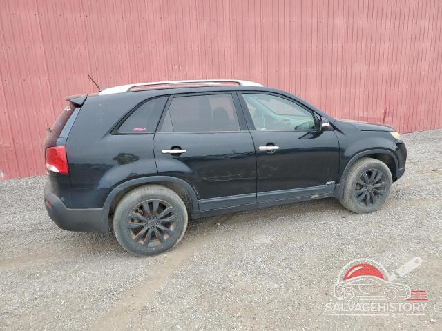 5XYKUDA2XBG050423 2011 KIA SORENTO photo no. 3